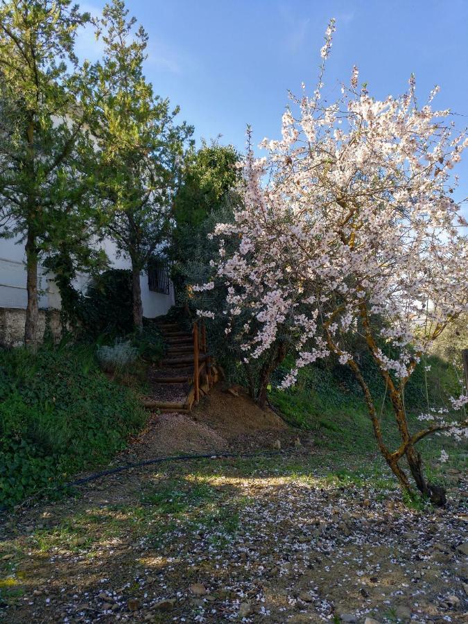 Casa La Liebrecilla Guest House Ríogordo Eksteriør bilde